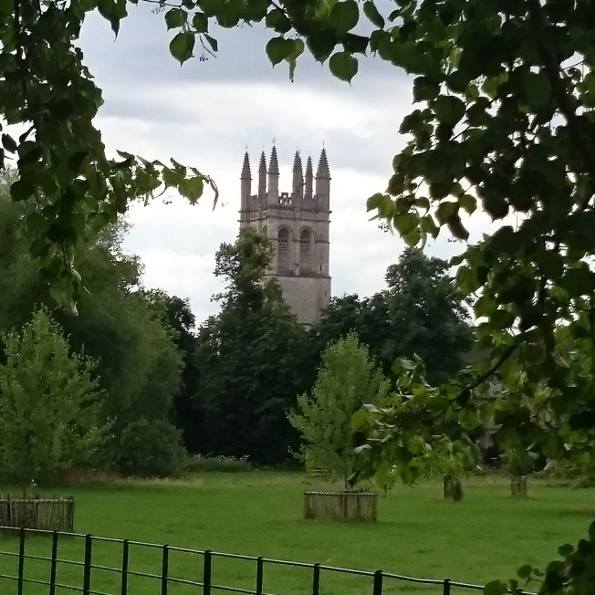 Magdalen Tower across the meadow.